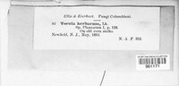 Image Associated With the Occurence